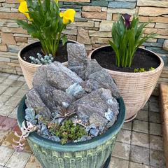 Гостевой дом Саксония, Горячий Ключ, Краснодарский край