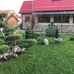 Гостевой дом Саксония, Горячий Ключ, Краснодарский край