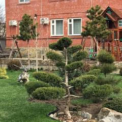 Гостевой дом Саксония, Горячий Ключ, Краснодарский край