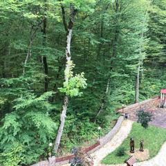 Парк-отель Лесная Сказка, Горячий Ключ, Краснодарский край