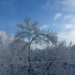 Гостевой дом Серебряный Ключ, Горячий Ключ, Краснодарский край
