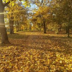Гостевой дом Грайворон, Грайворон, Белгородская область