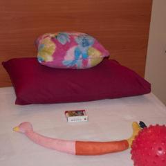 Отель Лакада, Грибки, Московская область