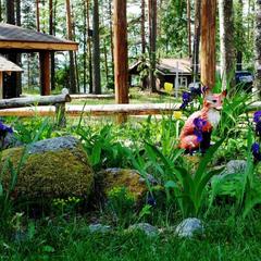 База отдыха Тихая Долина, Громово, Ленинградская область