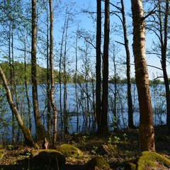 База отдыха Вуокса хутор, Громово, Ленинградская область