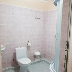 Отель Престиж, Грушевская, Ростовская область