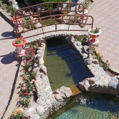 Отель Престиж, Грушевская, Ростовская область