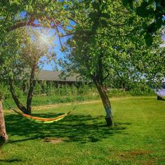 База отдыха Piknikki, Приозерский район, Ленинградская область