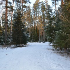 База отдыха Вуокса хутор, Громово, Ленинградская область