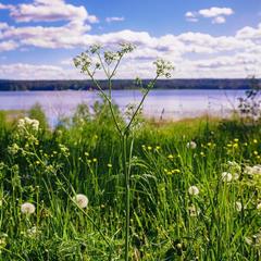 База отдыха Piknikki, Приозерский район, Ленинградская область