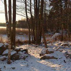 База отдыха Вуокса хутор, Громово, Ленинградская область