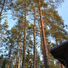 База отдыха Вуокса хутор, Громово, Ленинградская область