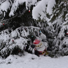 База отдыха Вуокса хутор, Громово, Ленинградская область