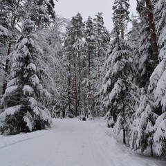 База отдыха Вуокса хутор, Громово, Ленинградская область