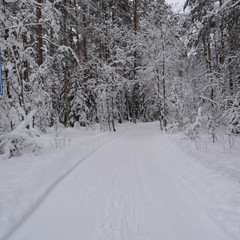 База отдыха Вуокса хутор, Громово, Ленинградская область