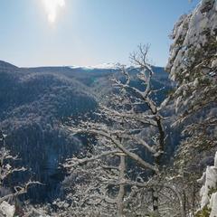 Гостевой дом Куршевель, Гуамка, Краснодарский край