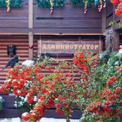 Гостевой дом Куршевель, Гуамка, Краснодарский край