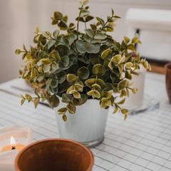 Гостевой дом Volkov House, Гузерипль, Республика Адыгея