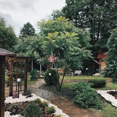 Гостевой дом Volkov House, Гузерипль, Республика Адыгея