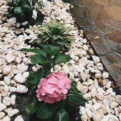 Гостевой дом Volkov House, Гузерипль, Республика Адыгея