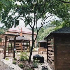 Гостевой дом Volkov House, Гузерипль, Республика Адыгея