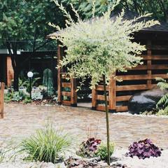 Гостевой дом Volkov House, Гузерипль, Республика Адыгея