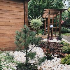 Гостевой дом Volkov House, Гузерипль, Республика Адыгея