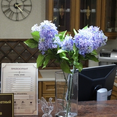 Отель Край, Гусь-Хрустальный, Владимирская область