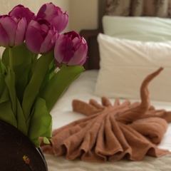 Отель Край, Гусь-Хрустальный, Владимирская область