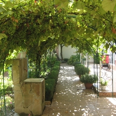 Гостиница Солнце, Дагомыс, Краснодарский край