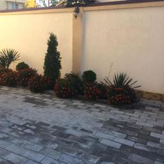 Отель Рассвет, Дагомыс, Краснодарский край