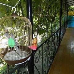 База отдыха Горизонт, Уч-дере, Краснодарский край