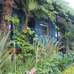 База отдыха Горизонт, Уч-дере, Краснодарский край