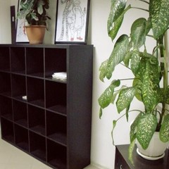 Гостиница Базилик Данков, Данков, Липецкая область