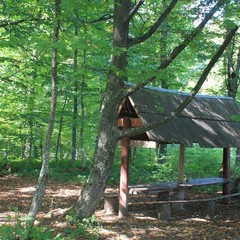Турбаза Серебряный Ключ, Даховская, Республика Адыгея