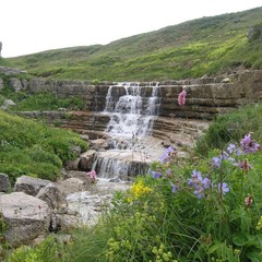 Гостевой дом Аммонит, Майкопский район, Республика Адыгея