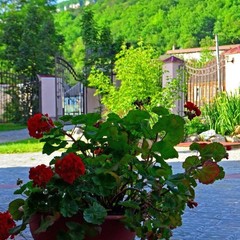 Гостевой дом Аммонит, Майкопский район, Республика Адыгея