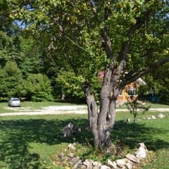 Спортивно-туристический комплекс Звездная долина, Даховская, Республика Адыгея