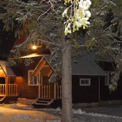 База отдыха Лесной хутор, Демихово, Ярославская область