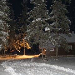 База отдыха Лесной хутор, Демихово, Ярославская область