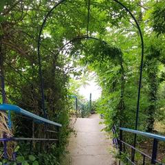 База отдыха Ле Шале, Джанхот, Краснодарский край