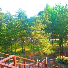 Гостевой дом А Море, Джемете, Краснодарский край