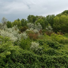 База отдыха Весна, Джемете, Краснодарский край