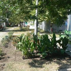 База отдыха Искра, Джемете, Краснодарский край