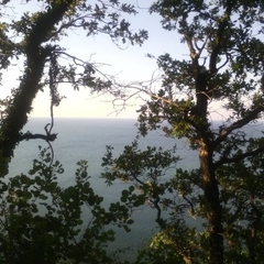 Эко-отель Green Wood, Джубга, Краснодарский край