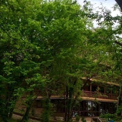 Эко-отель Green Wood, Джубга, Краснодарский край