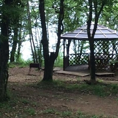 Эко-отель Green Wood, Джубга, Краснодарский край