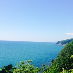 Эко-отель Green Wood, Джубга, Краснодарский край