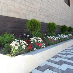 Гостевой дом Вилла Солнца, Джубга, Краснодарский край