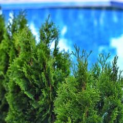 Отель Корона, Джубга, Краснодарский край